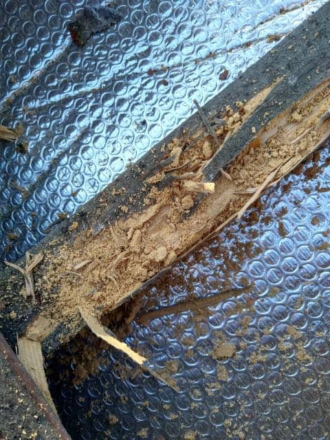 termites travaux charpente CHB Couverture