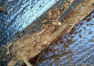 termites traitement toiture CHB 78